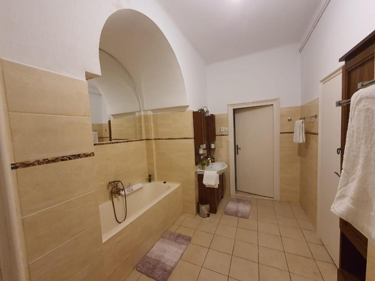 Apartament Enescu Timişoara Extérieur photo